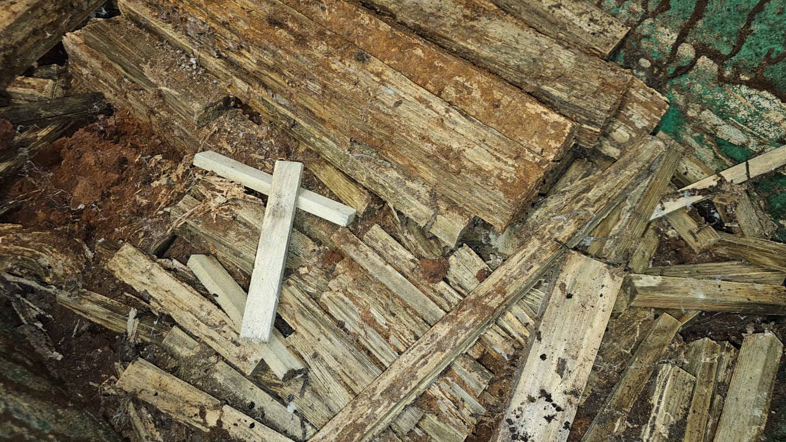 Dégâts causés par les termites